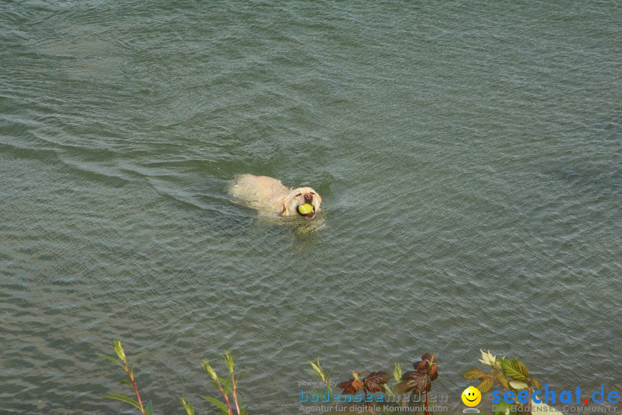 Internationale BODENSEEWOCHE: Konstanz, 30.05.2010