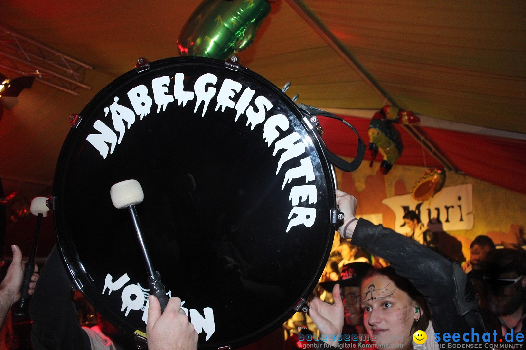 Maskenball - Muri AG - Schweiz, 25.01.2025