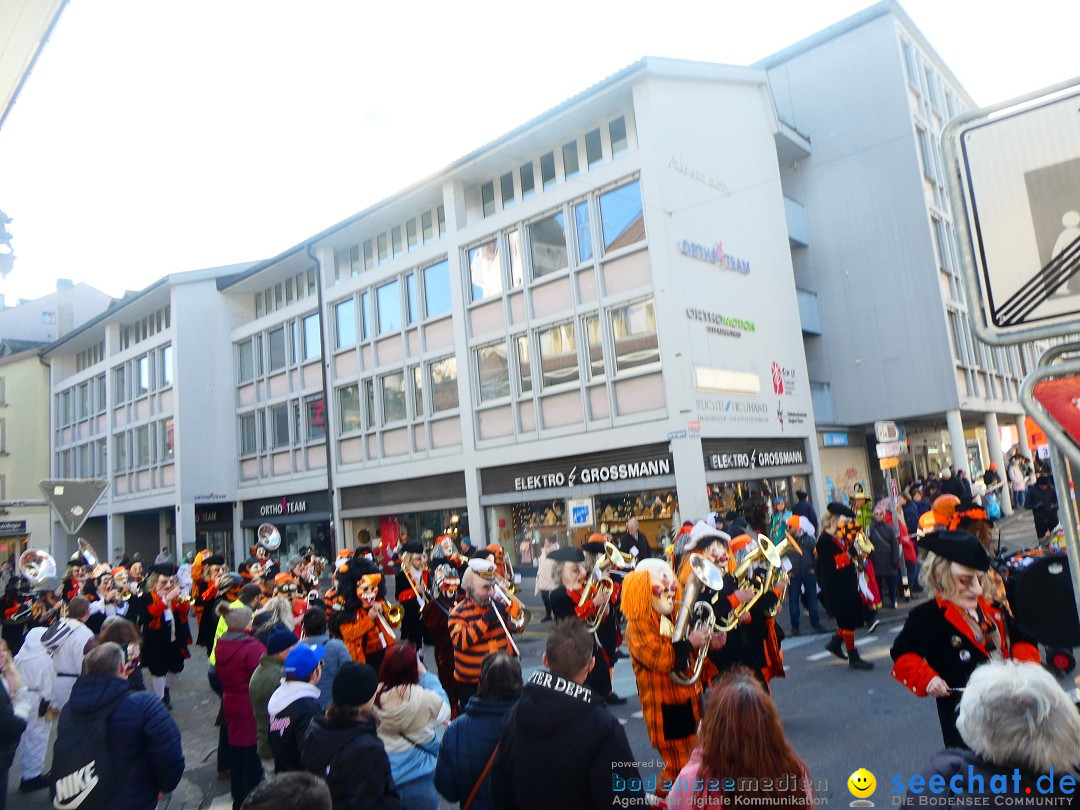 Fasnachtsumzug - Thun - Schweiz, 02.02.2025