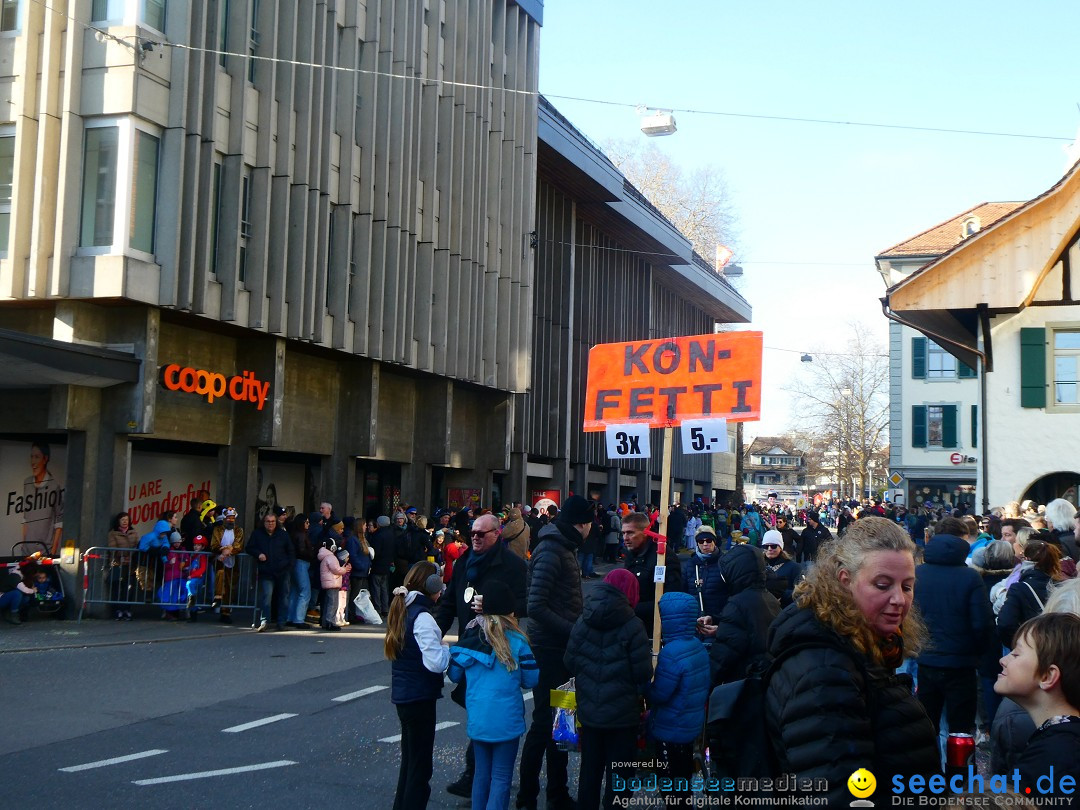 Fasnachtsumzug - Thun - Schweiz, 02.02.2025