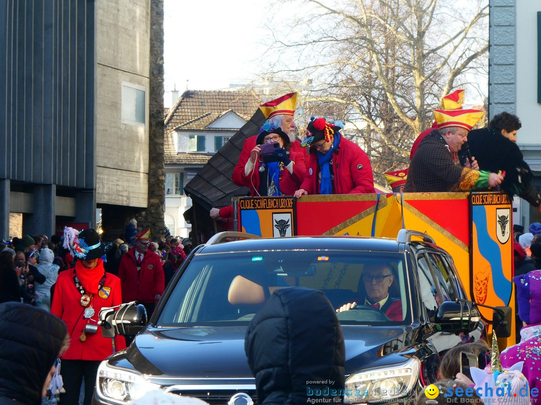 Fasnachtsumzug - Thun - Schweiz, 02.02.2025