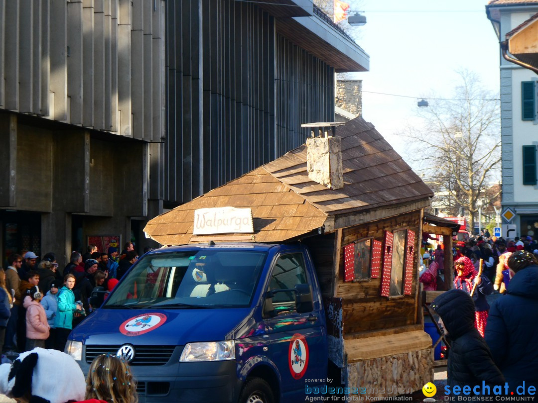 Fasnachtsumzug - Thun - Schweiz, 02.02.2025