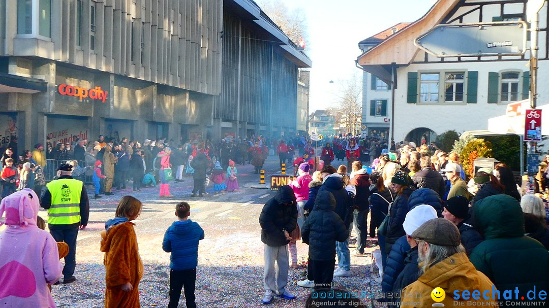 Fasnachtsumzug - Thun - Schweiz, 02.02.2025