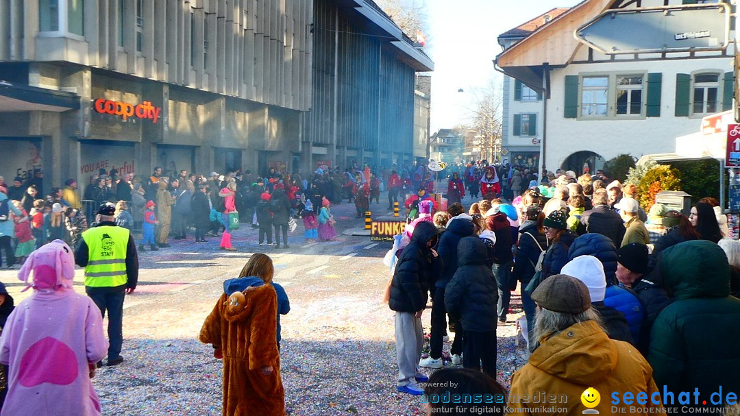 Fasnachtsumzug - Thun - Schweiz, 02.02.2025