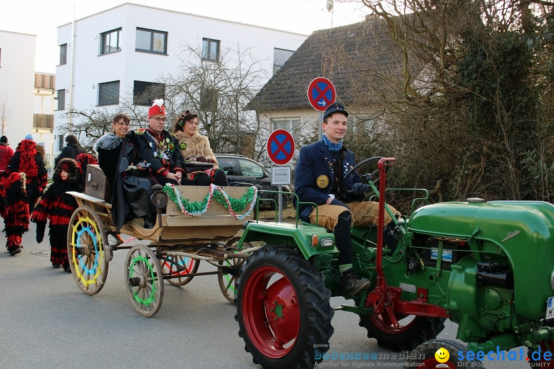 Fasnetsumzug und Party mit Fly: Kau am Bodensee, 15.02.2025