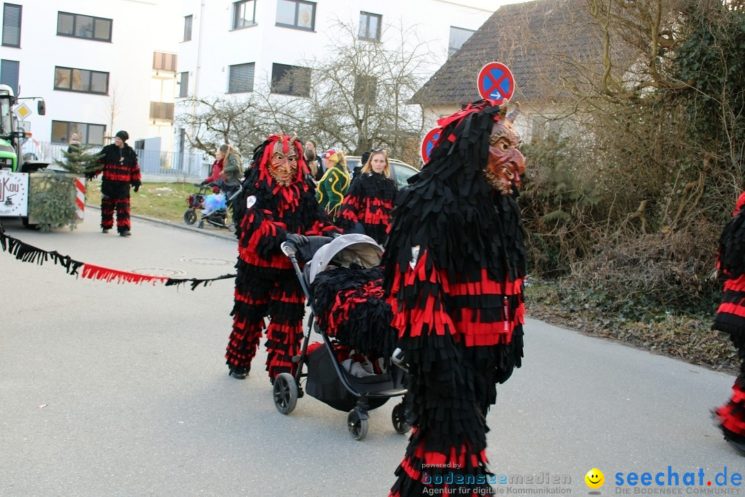 Fasnetsumzug und Party mit Fly: Kau am Bodensee, 15.02.2025