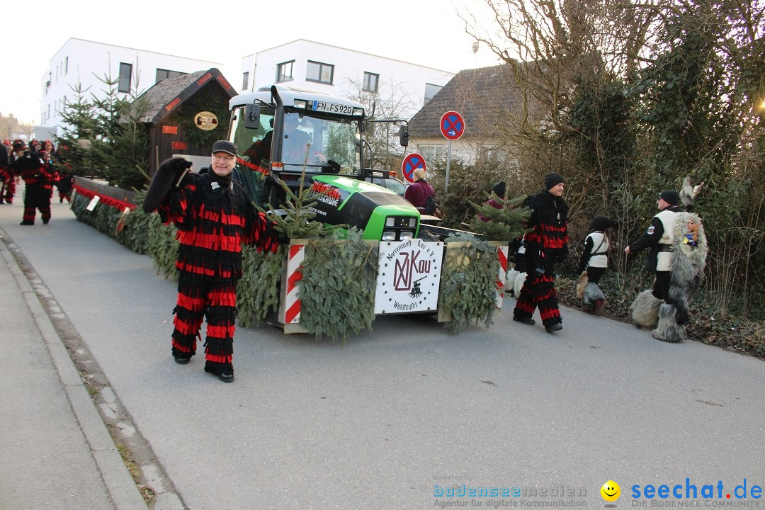 Fasnetsumzug und Party mit Fly: Kau am Bodensee, 15.02.2025