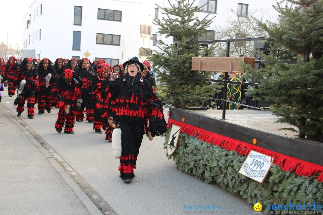 Fasnetsumzug und Party mit Fly: Kau am Bodensee, 15.02.2025