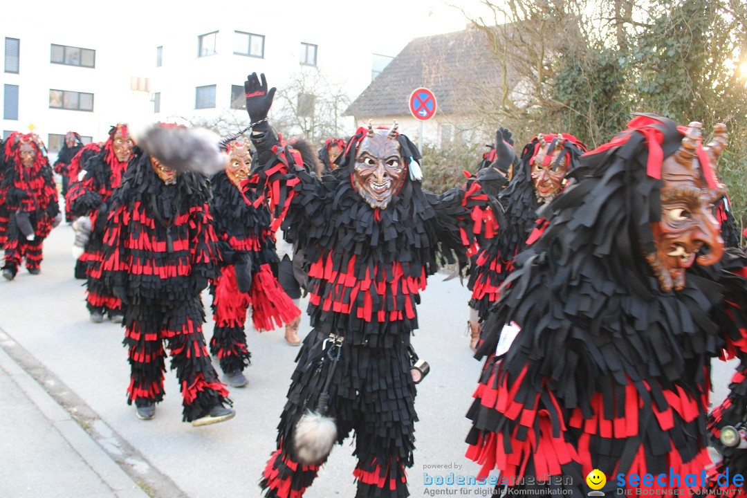 Fasnetsumzug und Party mit Fly: Kau am Bodensee, 15.02.2025