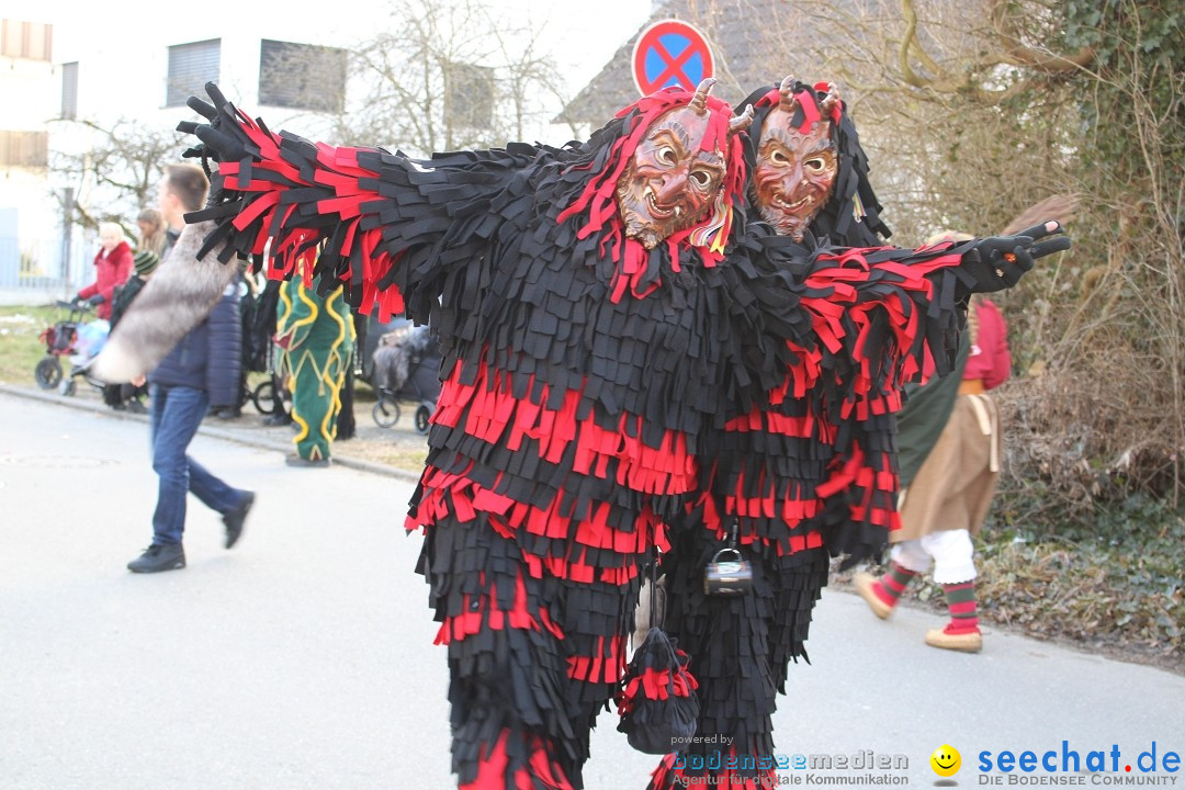 Fasnetsumzug und Party mit Fly: Kau am Bodensee, 15.02.2025