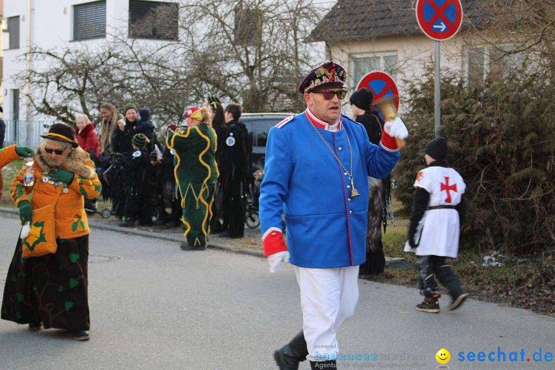 Fasnetsumzug und Party mit Fly: Kau am Bodensee, 15.02.2025