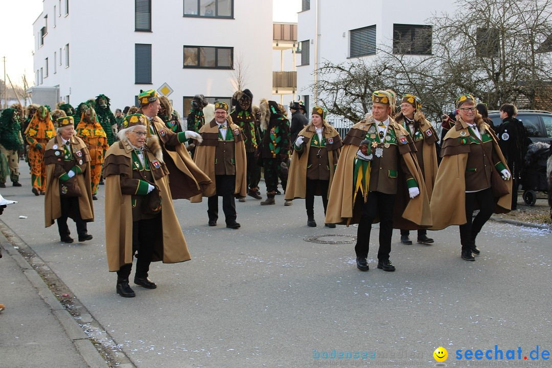 Fasnetsumzug und Party mit Fly: Kau am Bodensee, 15.02.2025