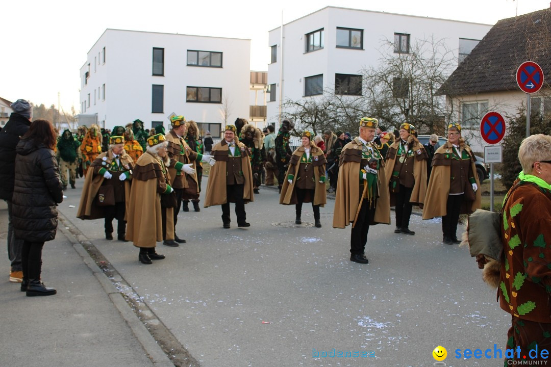 Fasnetsumzug und Party mit Fly: Kau am Bodensee, 15.02.2025