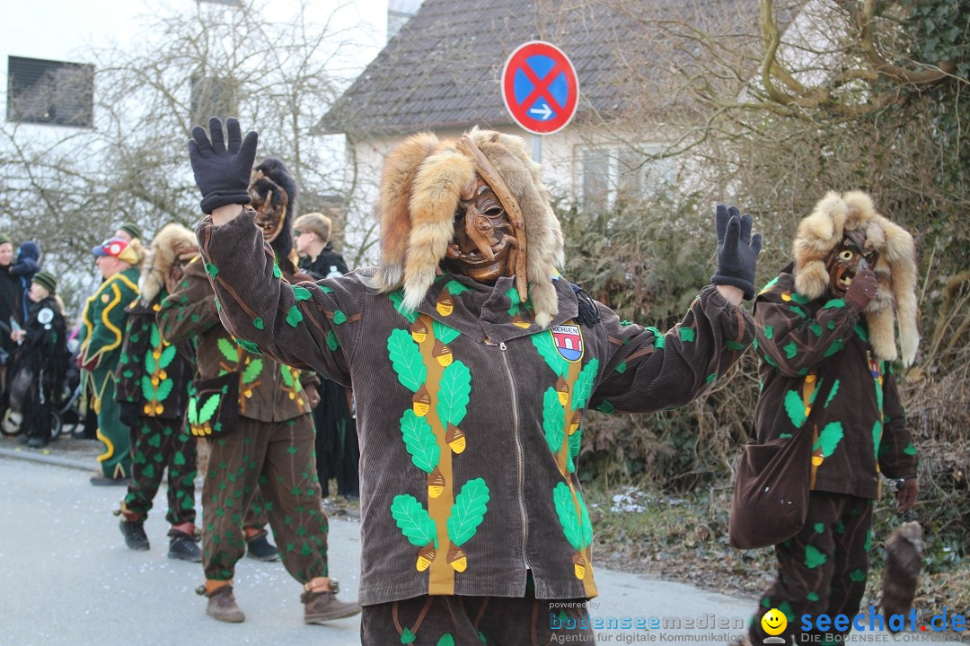 Fasnetsumzug und Party mit Fly: Kau am Bodensee, 15.02.2025