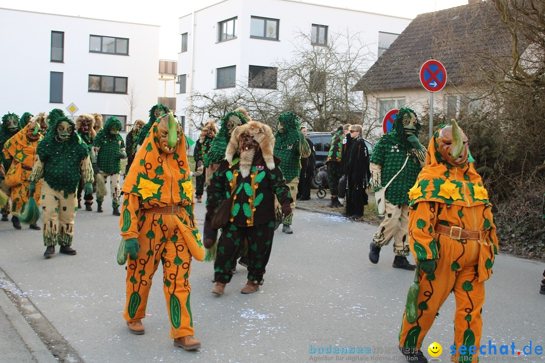 Fasnetsumzug und Party mit Fly: Kau am Bodensee, 15.02.2025