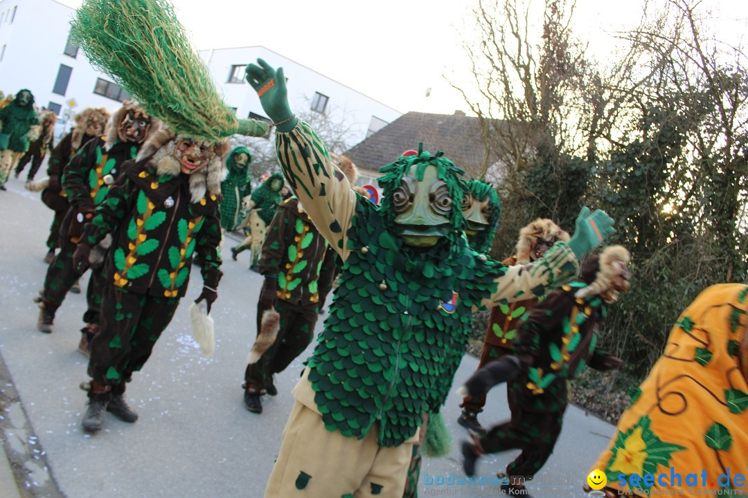 Fasnetsumzug und Party mit Fly: Kau am Bodensee, 15.02.2025