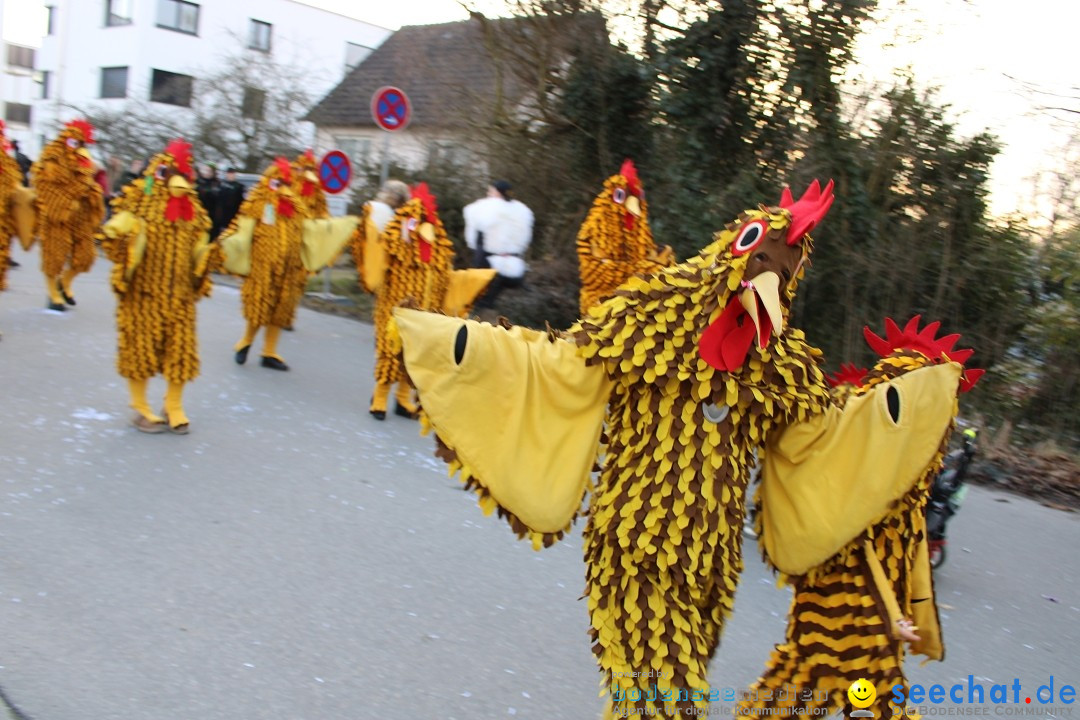 Fasnetsumzug und Party mit Fly: Kau am Bodensee, 15.02.2025