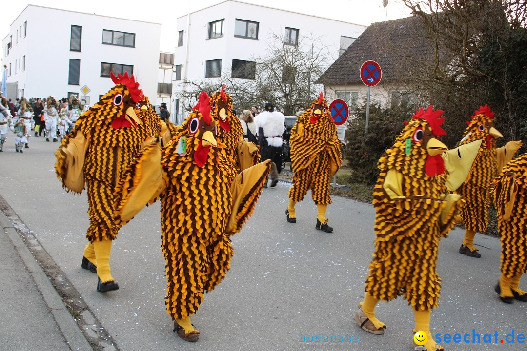 Fasnetsumzug und Party mit Fly: Kau am Bodensee, 15.02.2025