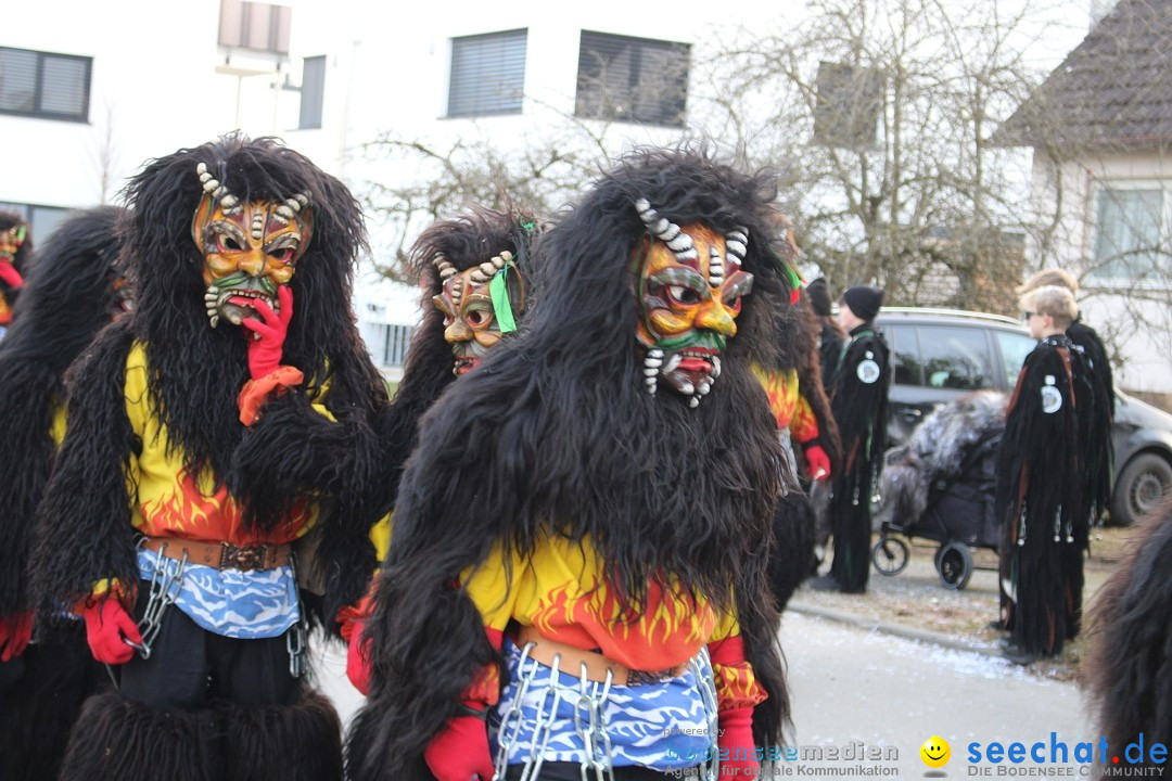 Fasnetsumzug und Party mit Fly: Kau am Bodensee, 15.02.2025