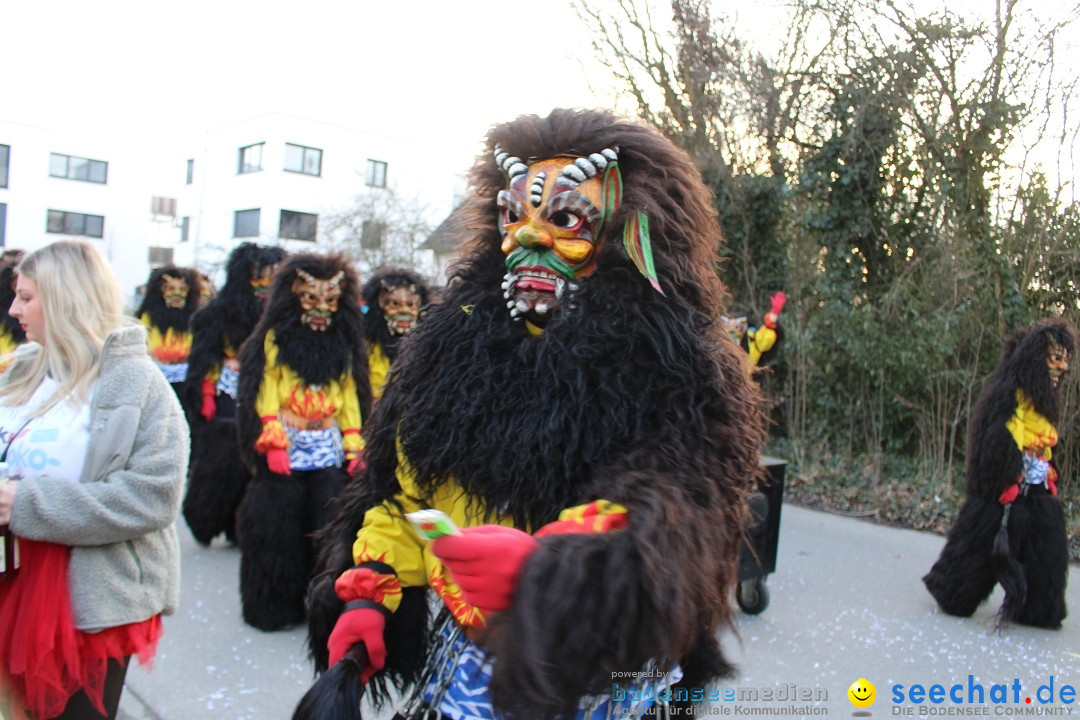 Fasnetsumzug und Party mit Fly: Kau am Bodensee, 15.02.2025