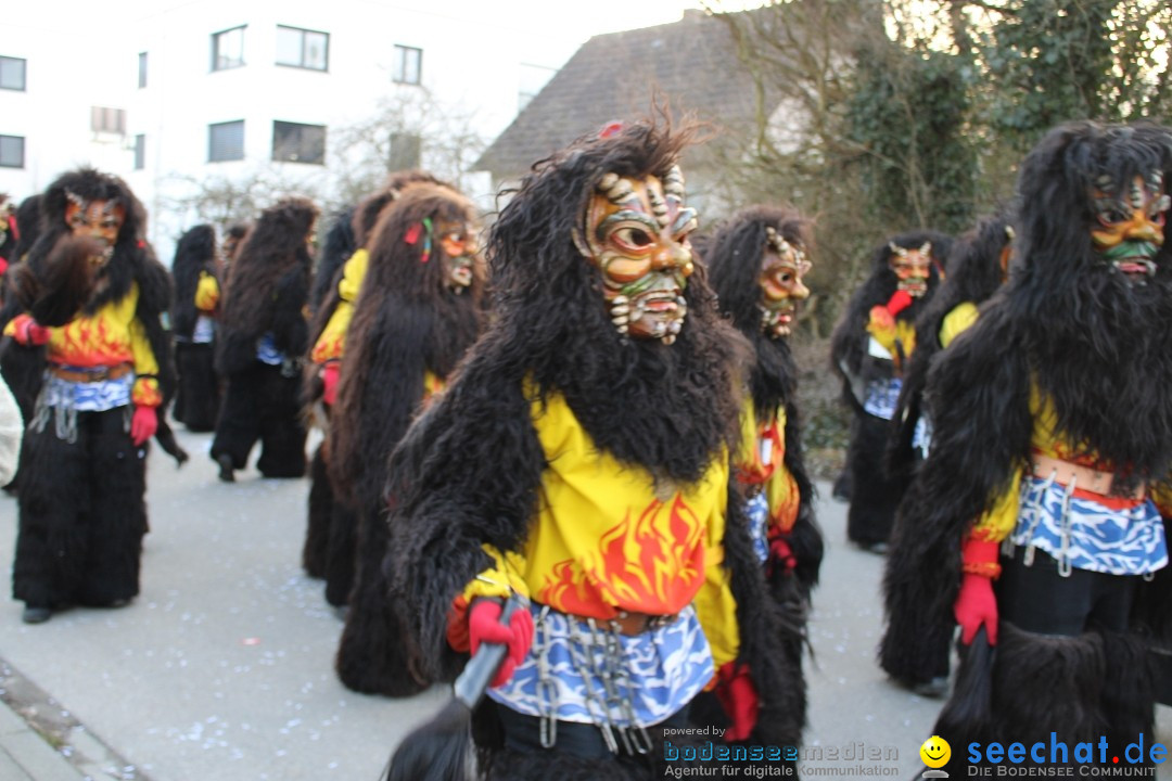 Fasnetsumzug und Party mit Fly: Kau am Bodensee, 15.02.2025