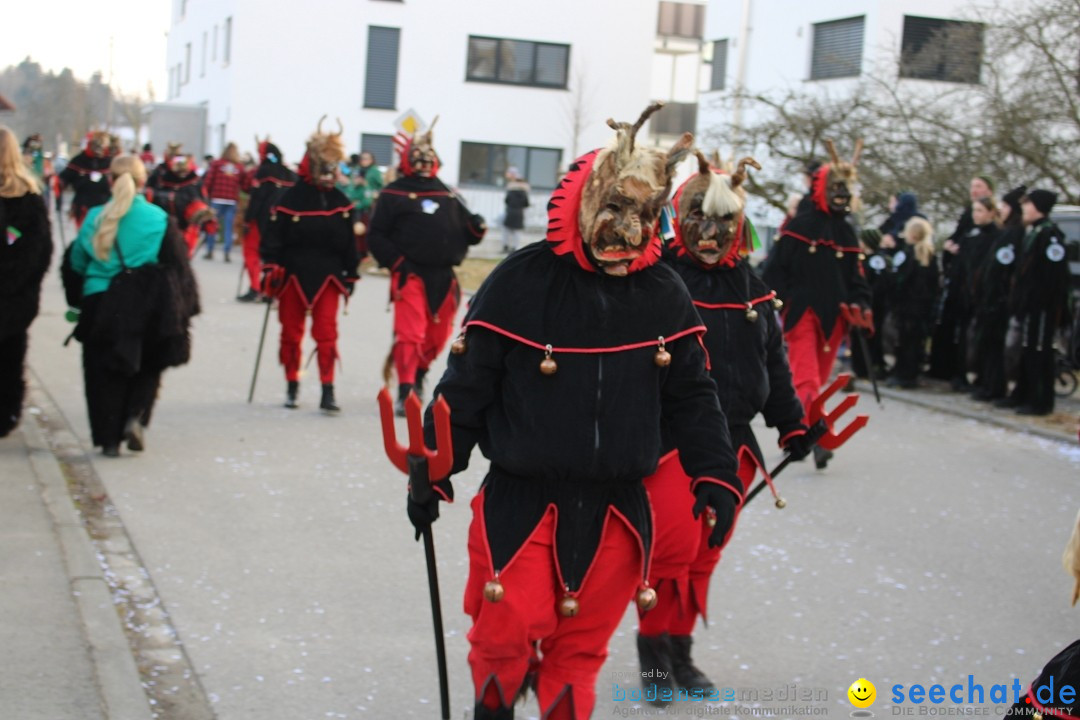 Fasnetsumzug und Party mit Fly: Kau am Bodensee, 15.02.2025