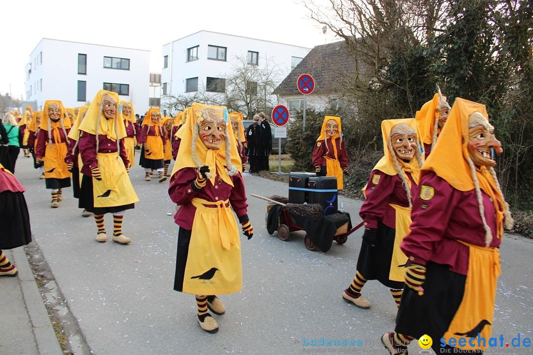 Fasnetsumzug und Party mit Fly: Kau am Bodensee, 15.02.2025