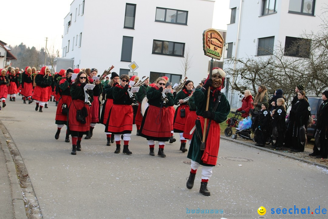 Fasnetsumzug und Party mit Fly: Kau am Bodensee, 15.02.2025