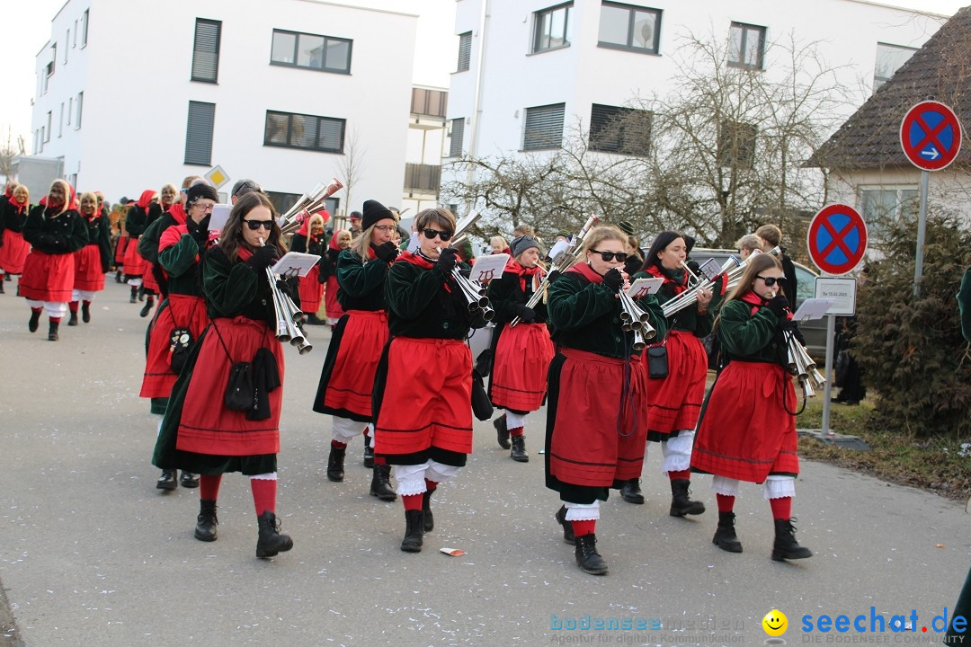 Fasnetsumzug und Party mit Fly: Kau am Bodensee, 15.02.2025