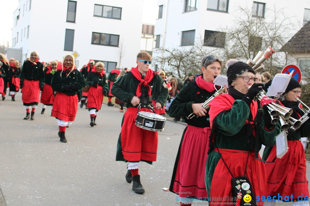 Fasnetsumzug und Party mit Fly: Kau am Bodensee, 15.02.2025