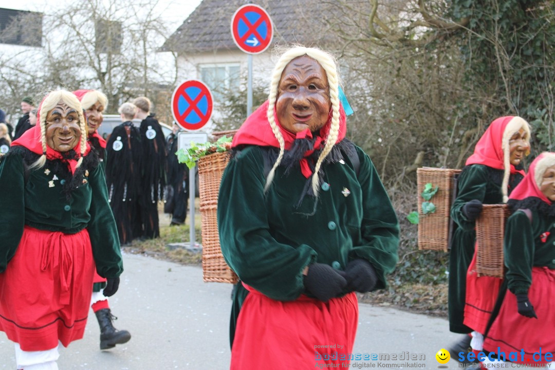 Fasnetsumzug und Party mit Fly: Kau am Bodensee, 15.02.2025