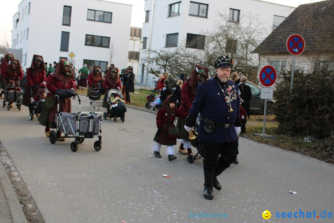 Fasnetsumzug und Party mit Fly: Kau am Bodensee, 15.02.2025