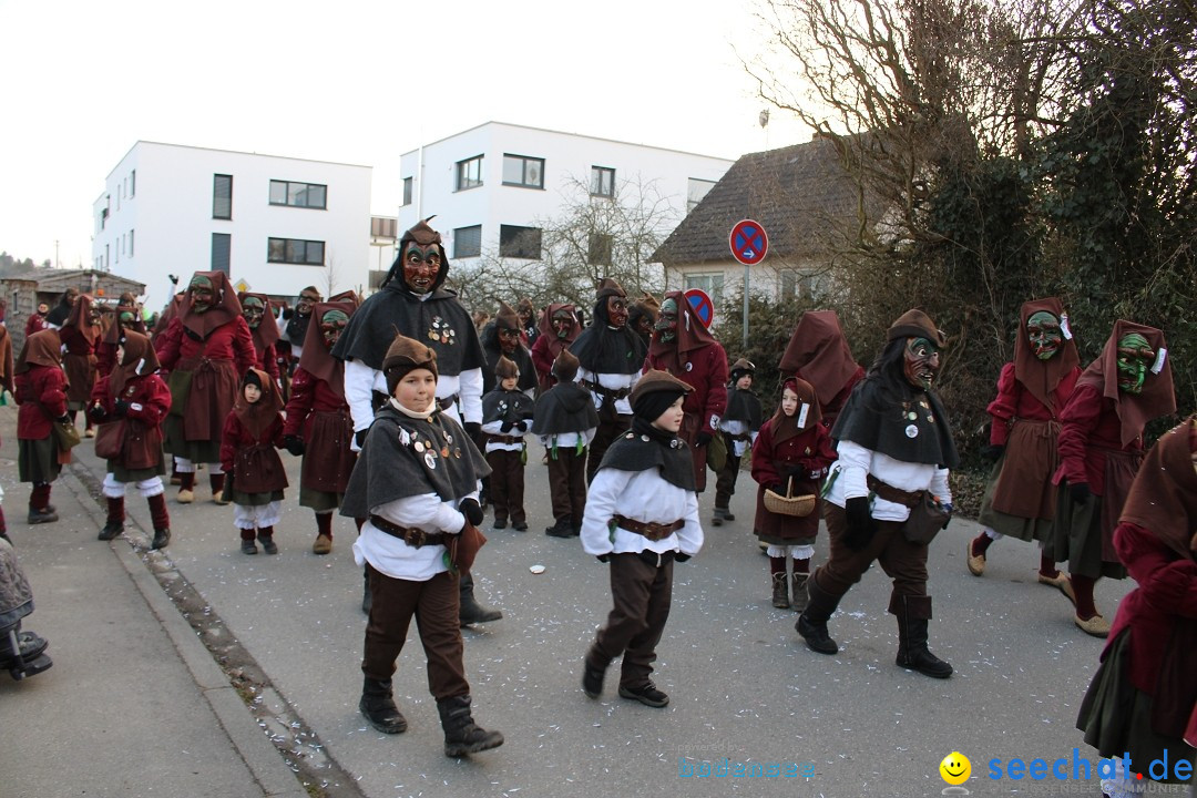 Fasnetsumzug und Party mit Fly: Kau am Bodensee, 15.02.2025