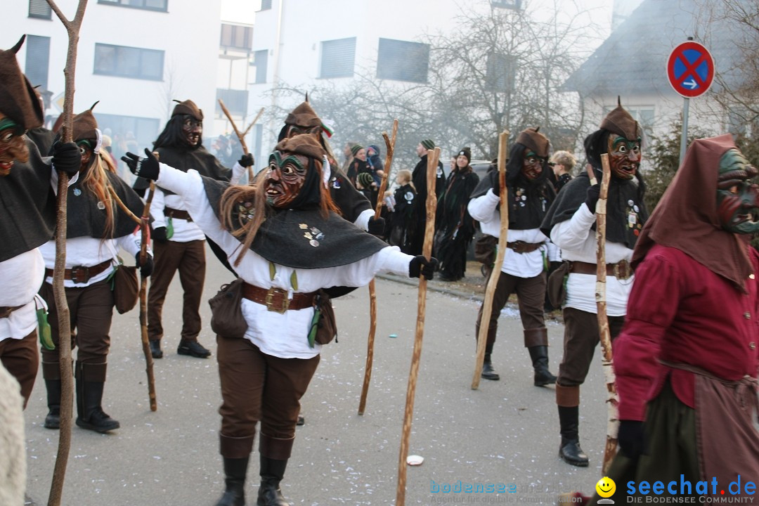 Fasnetsumzug und Party mit Fly: Kau am Bodensee, 15.02.2025