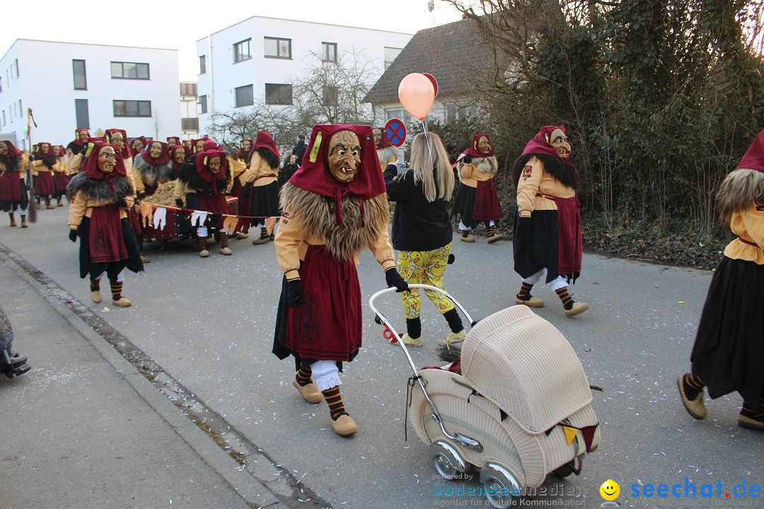 Fasnetsumzug und Party mit Fly: Kau am Bodensee, 15.02.2025