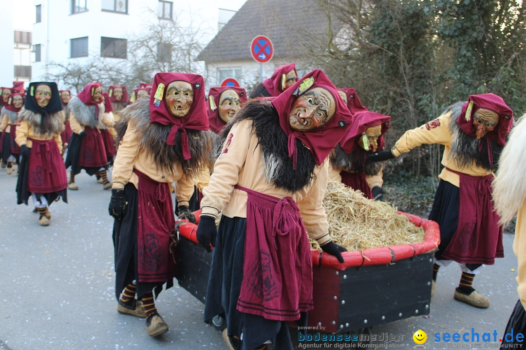 Fasnetsumzug und Party mit Fly: Kau am Bodensee, 15.02.2025