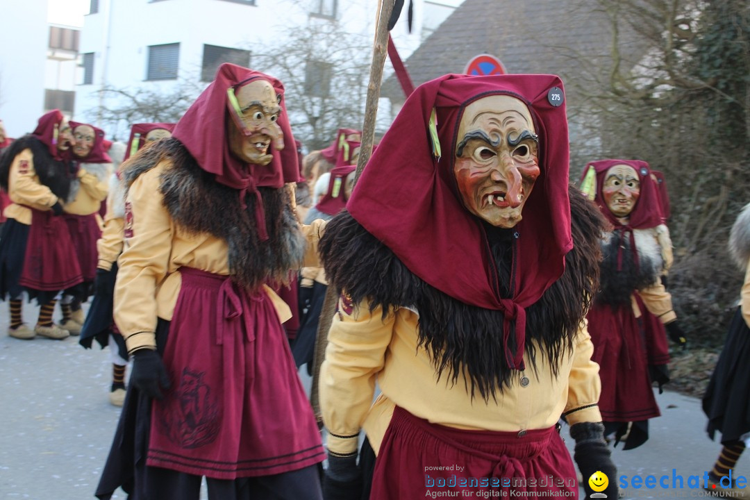 Fasnetsumzug und Party mit Fly: Kau am Bodensee, 15.02.2025