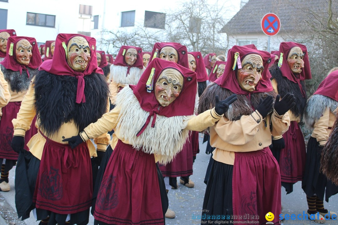 Fasnetsumzug und Party mit Fly: Kau am Bodensee, 15.02.2025