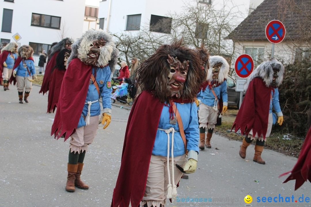 Fasnetsumzug und Party mit Fly: Kau am Bodensee, 15.02.2025