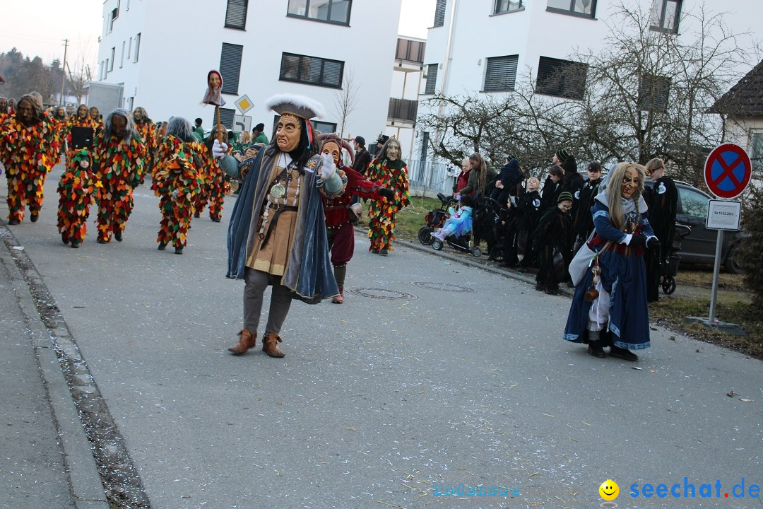 Fasnetsumzug und Party mit Fly: Kau am Bodensee, 15.02.2025