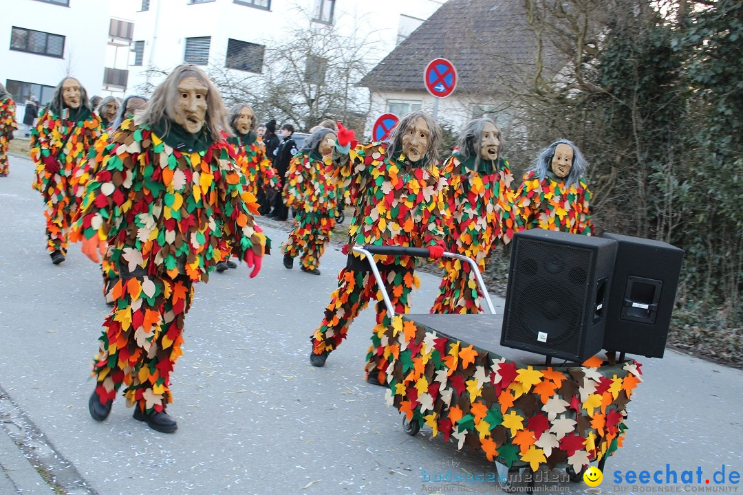 Fasnetsumzug und Party mit Fly: Kau am Bodensee, 15.02.2025