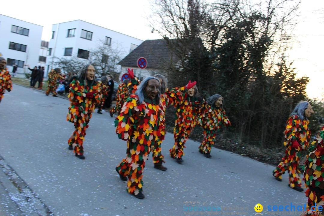 Fasnetsumzug und Party mit Fly: Kau am Bodensee, 15.02.2025