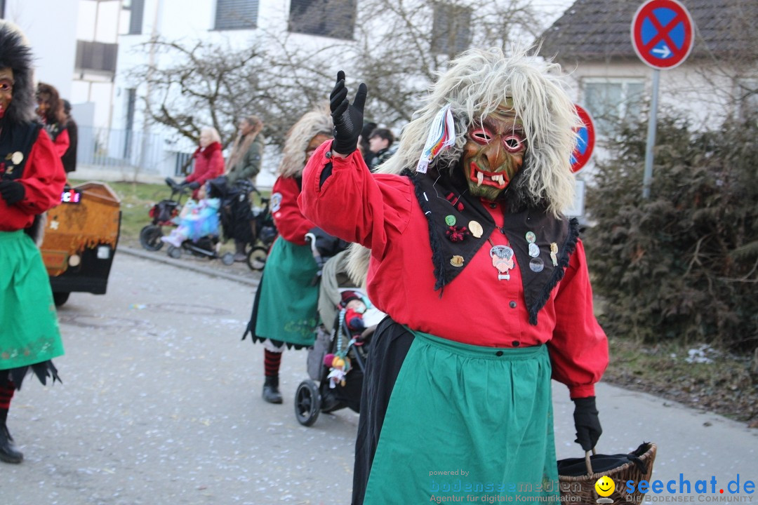 Fasnetsumzug und Party mit Fly: Kau am Bodensee, 15.02.2025