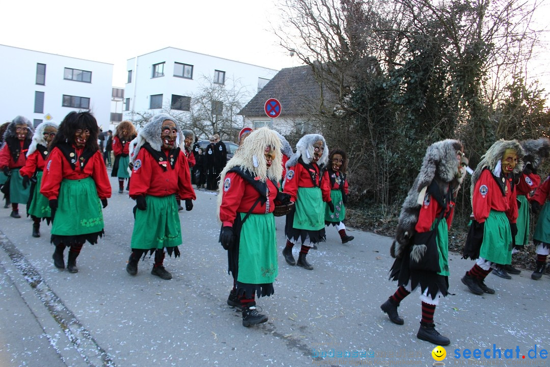 Fasnetsumzug und Party mit Fly: Kau am Bodensee, 15.02.2025