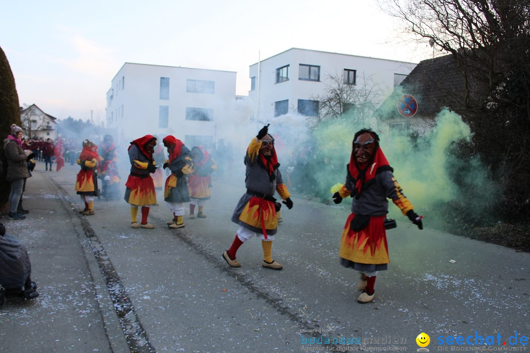 Fasnetsumzug und Party mit Fly: Kau am Bodensee, 15.02.2025