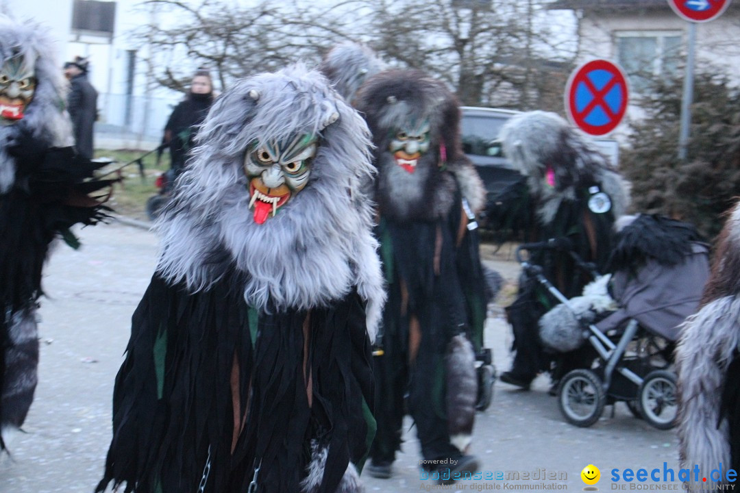 Fasnetsumzug und Party mit Fly: Kau am Bodensee, 15.02.2025