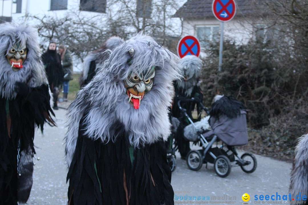 Fasnetsumzug und Party mit Fly: Kau am Bodensee, 15.02.2025