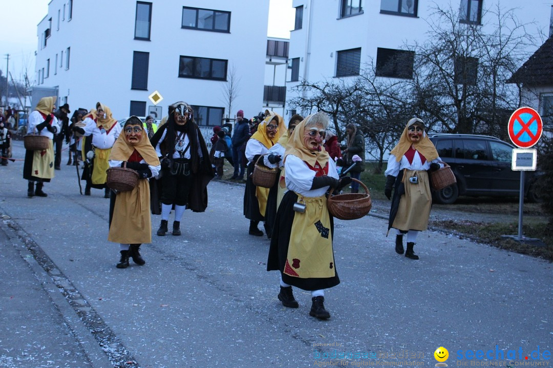 Fasnetsumzug und Party mit Fly: Kau am Bodensee, 15.02.2025