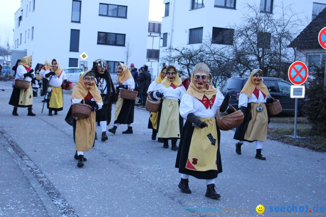 Fasnetsumzug und Party mit Fly: Kau am Bodensee, 15.02.2025