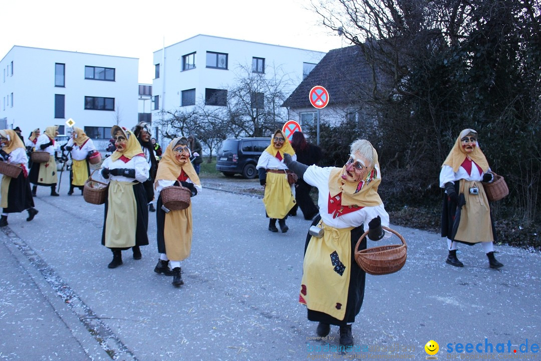 Fasnetsumzug und Party mit Fly: Kau am Bodensee, 15.02.2025